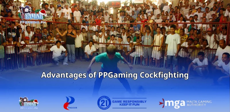 Advantages of PPGaming Cockfighting