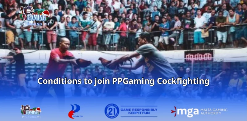 Conditions to join PPGaming Cockfighting