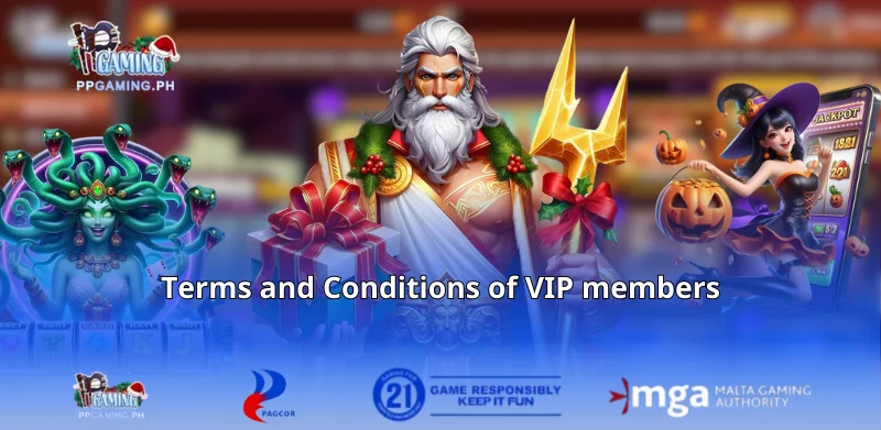 Terms and Conditions of VIP members